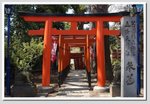 17 DSC_3267 G
