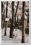 06 DSC_1285 Gs2