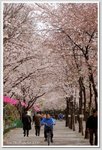 DSC_1275 Gs2