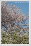b01 DSC_1633 GG
