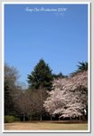 b02 DSC_1559 G A