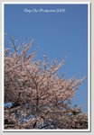 b03 DSC_1583