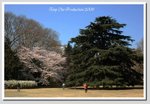 b04 DSC_1551 G A