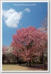 b04 DSC_1674 GG