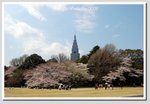 b06 DSC_1668 G