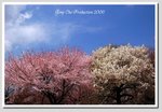 b10 DSC_1689 G