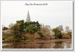 b12 DSC_1768 G