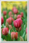 DSD_0095 GGG