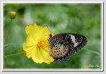 02 DSC_5384G
