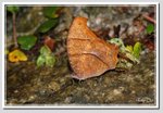 20 DSC_5274G