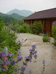山村小路