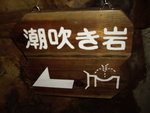 好咸濕呀..呢個名~~~
其實佢係講, 海水好似鯨一樣, 海浪可以噴上2, 3呎高, 加上兩方潮向, 會拎到對面的空洞會噴出水咋~~