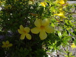 IMGP3322