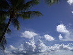 IMGP3328
