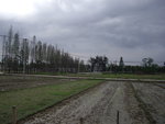 IMGP2258