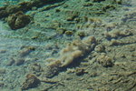 CIMG058