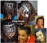 braid17