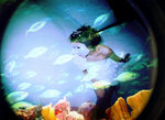 fisheye 02