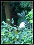 DSC09439