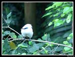 DSC09440