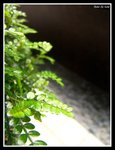 DSC09466