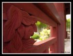 DSC09631
