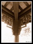 DSC09721