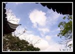 DSC09736