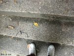 DSC09031