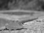DSC09039