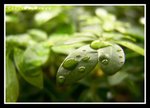 DSC09973