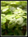DSC09976