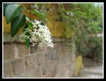 DSC08999