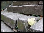 DSC09019