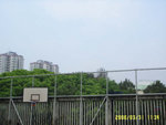 球場