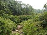 DSC01980