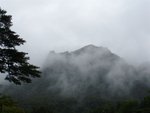 DSC00080