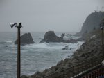 DSC00121