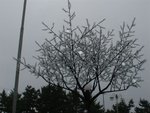 DSC00194