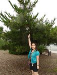 DSC00217