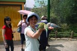 IMG_0738