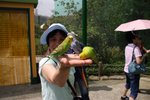 IMG_0740