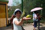 IMG_0741