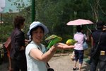 IMG_0742