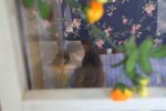 IMG_0825