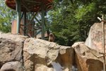 IMG_0832