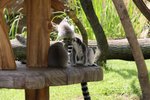 IMG_0837