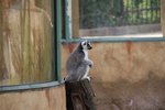 IMG_0841
