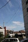 IMG_0995