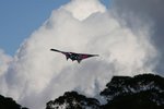 IMG_4135